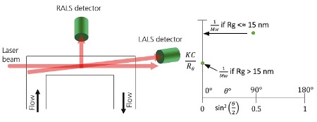 A. Schematic of a RALS/LALS hybrid detector showing the flow passing through the flow cell. Light from the laser enters at the end of the cell and is collected at 90° and through the same exit window at a low angle e.g. 7°. B. When using RALS/LALS, the Debye plot is reduced to two points where the RALS value is used to maximize sensitivity for isotropic scatterers and the LALS value is used for the most accurate molecular weight for anisotropic scatterers.