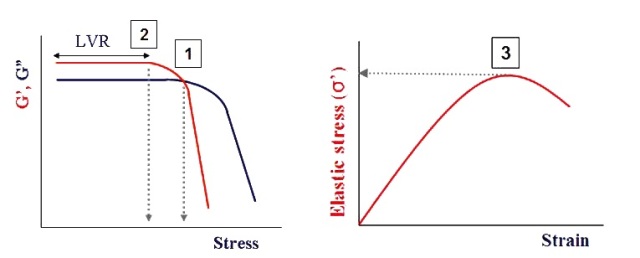 Illustration showing the strain response to an applied stress.