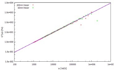 Viscous (loss) modulus, G", of water measured using 60nm and 20nm tracer particles.