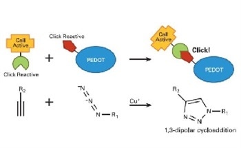 Using XPS for the Characterization of ‘Click’ Surface Chemistry