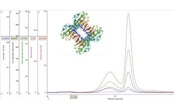 Insights into the Composition of Protein Mixtures Using Multi-Detection Size Exclusion Chromatography (SEC)