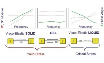 Determining and Understanding the Yield Stress of Complex Fluids