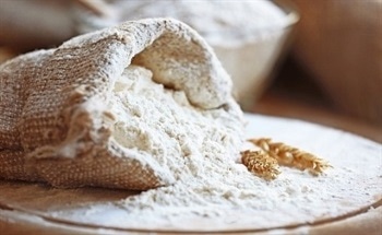 Measuring Nitrogen in Flour