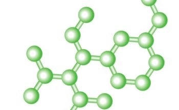 Highlights in the Field of Natural Polymers