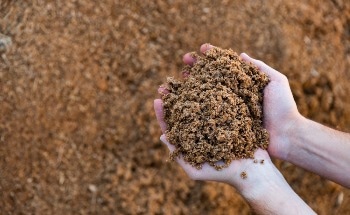 Analyzing Mineral and Trace Element Content in Livestock Feed