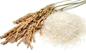 Using FT-NIR Spectroscopy to Analyse Rice