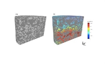 3D Quantitative Analysis of Snow Compaction