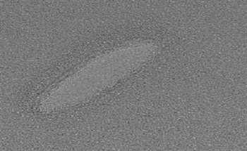 Examination of Effectiveness of Henniker Plasma Cleaner using a Holey Carbon Film by TEM