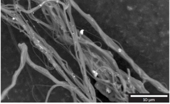 Controlling the Distribution and Agglomeration of Silver Nanoparticles on Polyamide Nanofibers