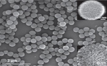 A Guide to Silica Nanoparticles with Large Surface Areas