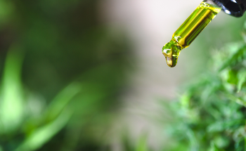 The Difference Between Carbon Dioxide and Ethanol Extraction of CBD
