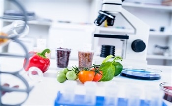 The Role of Laser Scanning Confocal Microscopy (LSCM) in Food Analysis