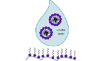 Using Laser Light Scattering for the Characterization of Micellar Water