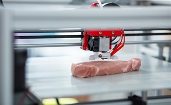 Future Applications of 3D Printing Meat