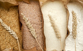 Measuring the Viscoelastic Properties of Wheat Flours