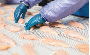 Increasing Product Sampling of Chicken Breasts with Automated Inspection