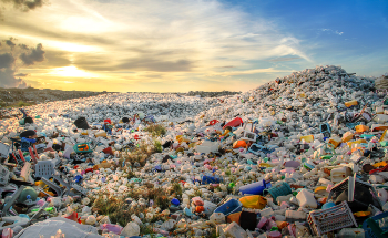 Developing Polyethylene Upcycling Technology to Reduce Plastic Waste