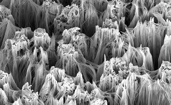 Nanowire Synthesis: Top-Down Fabrication and Bottom-Up Synthesis