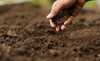 How to Meet the Challenges of Soil Analysis