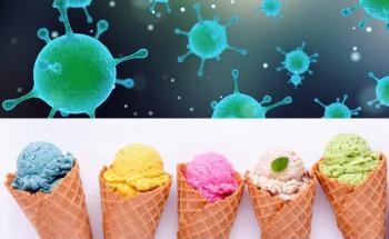 Characterising Probiotic Delivery Systems for Low-Fat Ice Cream