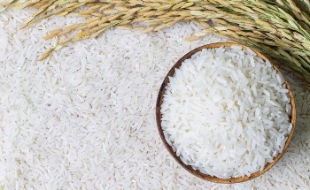 Arsenic Speciation Analysis in Rice