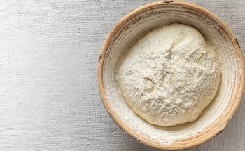 General Flour Testing with the doughLAB