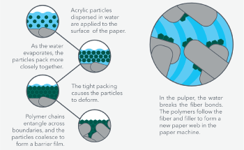 Recycling Paper in Mills: How Water-Based Barrier Coatings can Benefit the Process