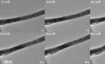 NiS-filled Carbon Nanotubes and Dynamic In-Situ Lithiation