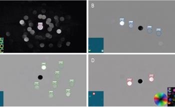4D STEM: Magnetite Nanoparticle Orientation Mapping