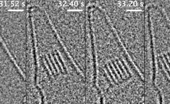 OneView IS Camera: Recording Atomic-Scale Crystal Nucleation and Growth Dynamics