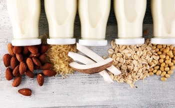 Analyzing Plant-Based Milk