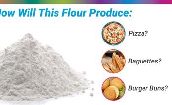 Using Dough Characterization to Determine Flour Quality
