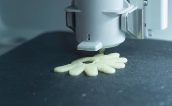 Rheological Analysis of 3D Printed Edible Food Inks