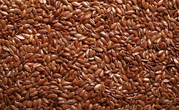 Using Spectroscopy to Detect Fake Seeds