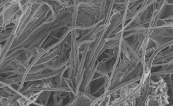 Researchers Achieve High Thermal Conductivity in Cellulose Materials