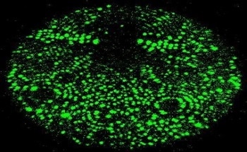 Atom Probe Tomography: Seeing Millions of Atoms in 3D