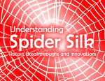 Understanding Spider Silk – Recent Breakthroughs and Innovations