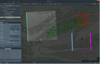 Maps 3 Software - Electron Microscopy and Cross-Platform Imaging with Advanced Automation