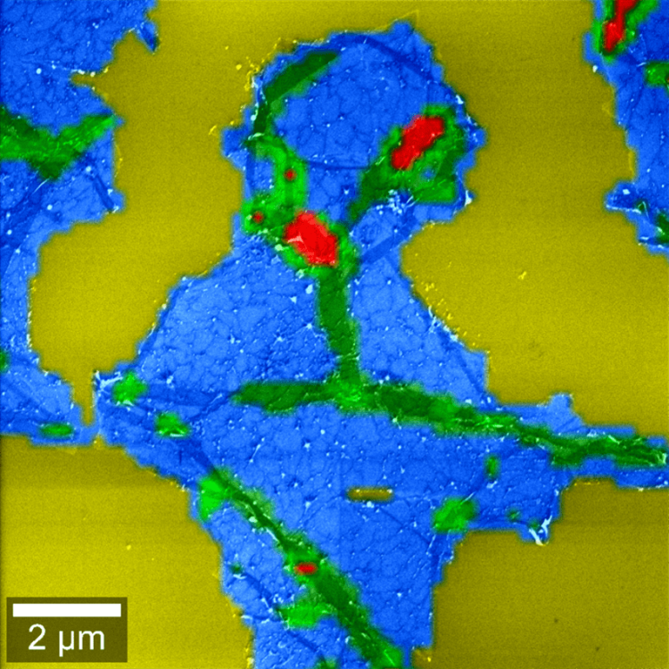 Correlative Raman-SEM (RISE) image of a graphene flake. The colors indicate the graphene layers and wrinkles.