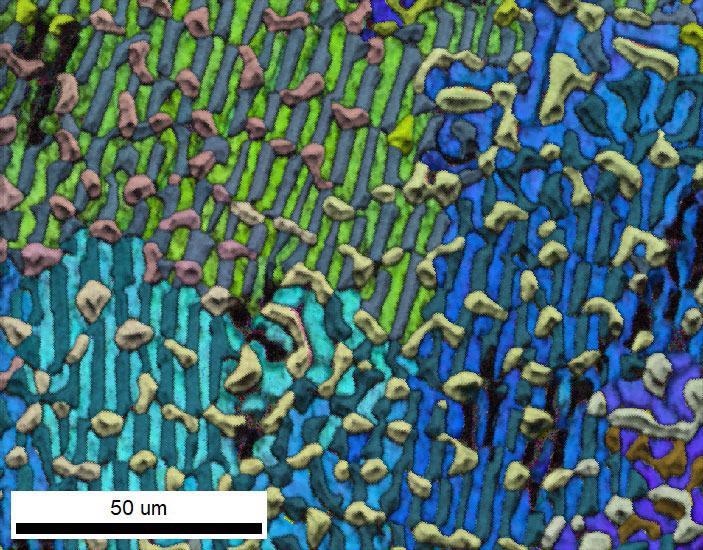 EBSD Image Quality and IPF Orientation Map of an Al-Cu-Mg alloy were simultaneously collected then shown as a combined EDS – EBSD dataset.