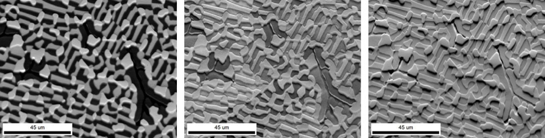 PRIAS maps showing phase, orientation, and topographic contrasts that are not typically observed with standard SEM detectors with EBSD sample geometries.