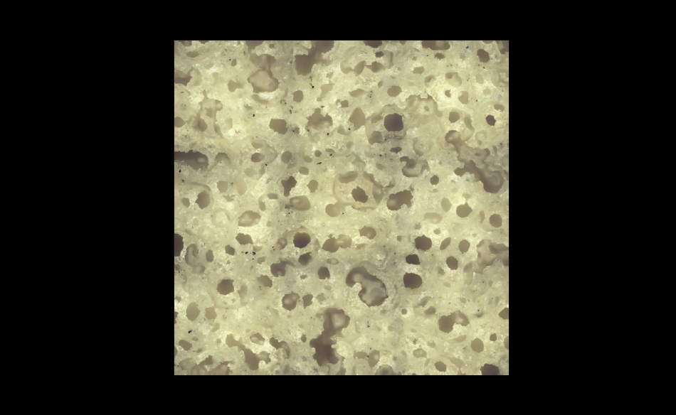 Sponge/profile measurement (MPLAPON20XLEXT / 3 x 3 stitched).