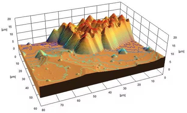 3D quantitative surface model.