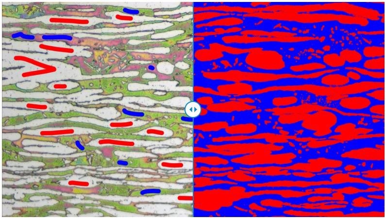 (Left) Segmentation model training: The user labels a few regions just by painting them in to teach the system how to segment the image. (Right) Automated segmentation: Once a segmentation model has been trained, it can be re-used, shared, and applied to a bundle of images.