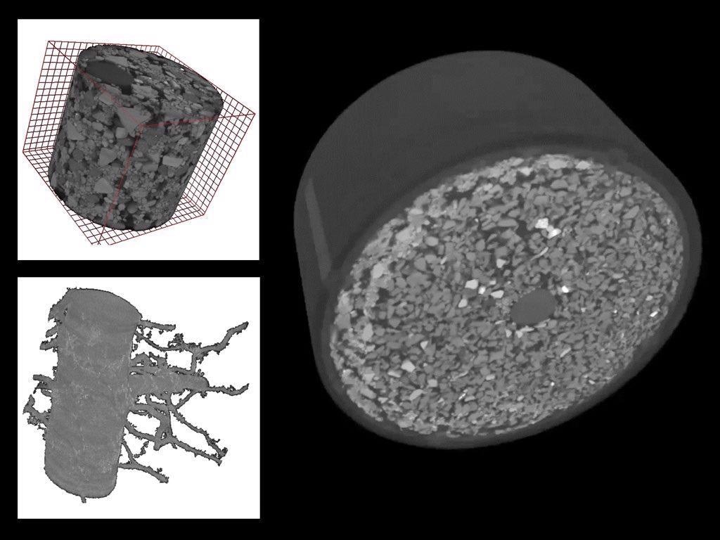 Embedded plant root in soil: the root can be recognized as a dominant structure within the soil which consists of grains of different sizes and shapes. Voxel size: 5.5 µm.