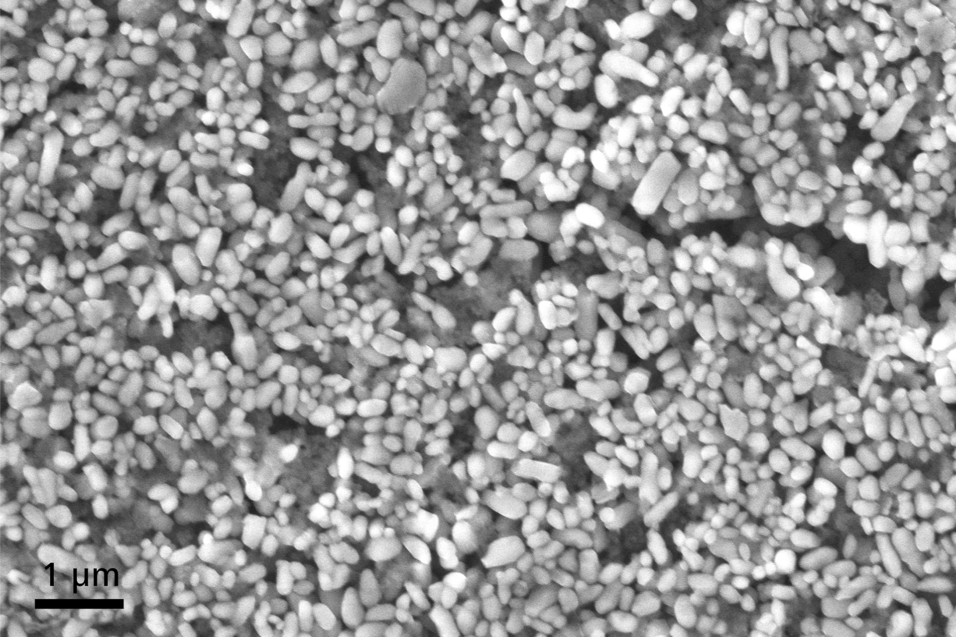Non-conductive titanium dioxide nanoparticles used as pigments and opacifying agents can be imaged easily at 40 Pa in VP mode with the C2D detector, image width 10 µm.