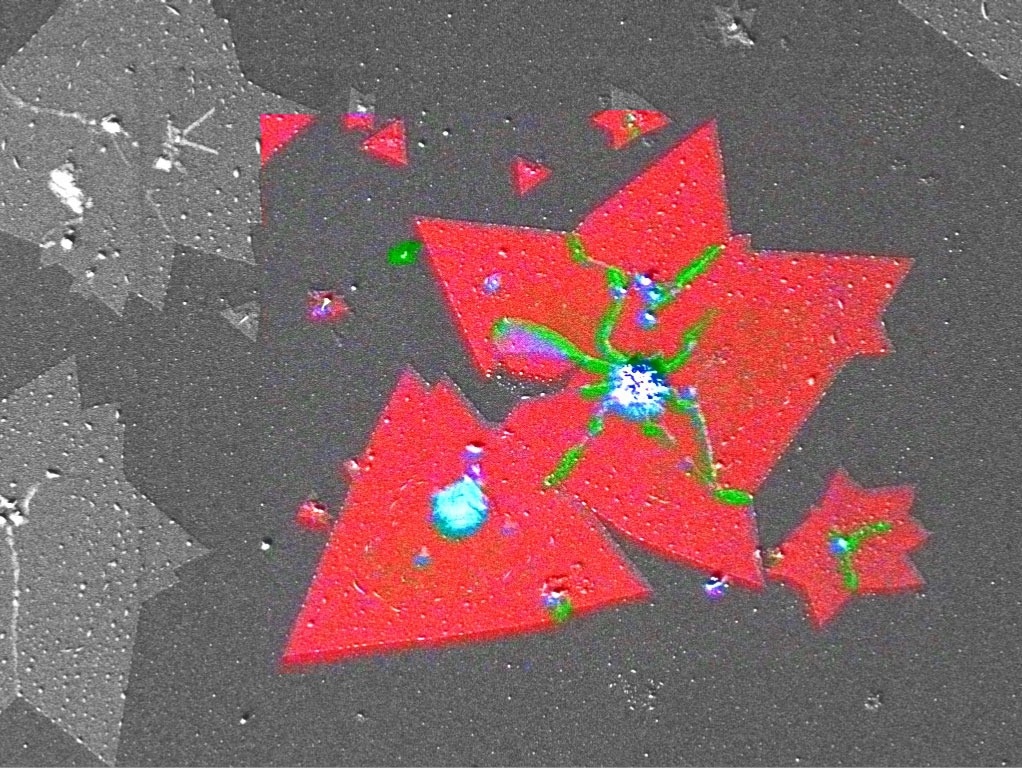 CVD-grown MoS2 2D crystals on Si/SiO2 substrate: The RISE image demonstrates wrinkles and overlapping parts of the MoS2 crystals (green), multilayers (blue) and single layers (red), image width 32 µm.