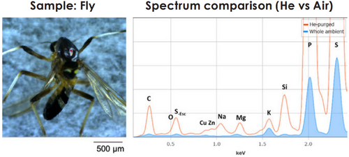 Micro-X-Ray Fluorescence Spectroscopy: XGT-9000