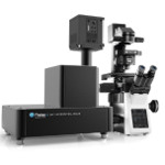 Photoluminescence Mapping with the IMA PL™ Fast All-In-One Hyperspectral Microscope from Photon etc.