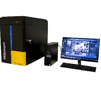 Achieving High Quality Images of Non-Conductive Samples via SEM with the ION COATER